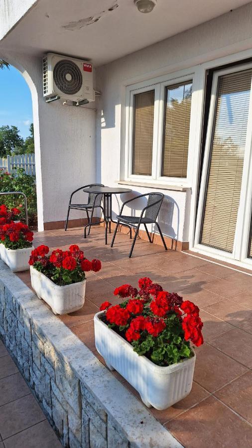 Apartament Marinela *